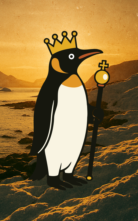 George | Chief Pebble Collector